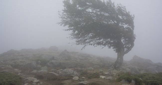 Bu gün hava durumu nasıl olacak? Meteorolojiden o bölgelere kuvvetli rüzgar uyarısı! 4 Kasım Cumartesi ülke geneli hava durumu 1